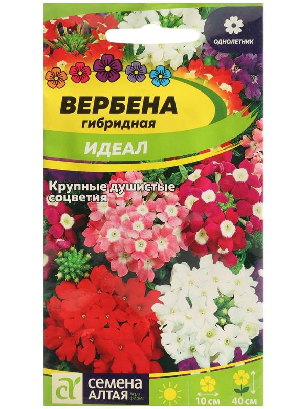 Семена цветов Вербена 