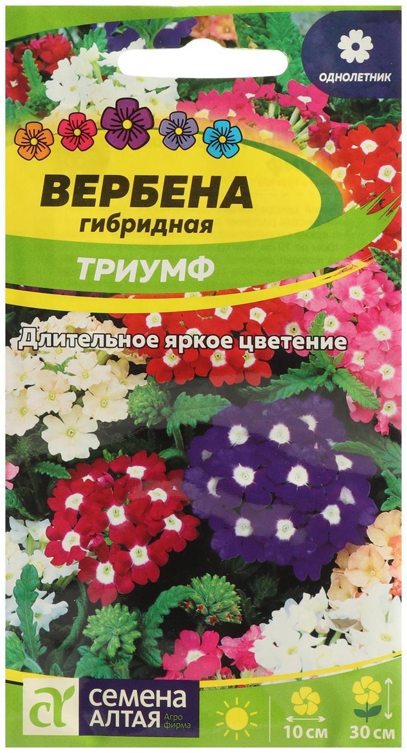 Семена цветов Вербена 