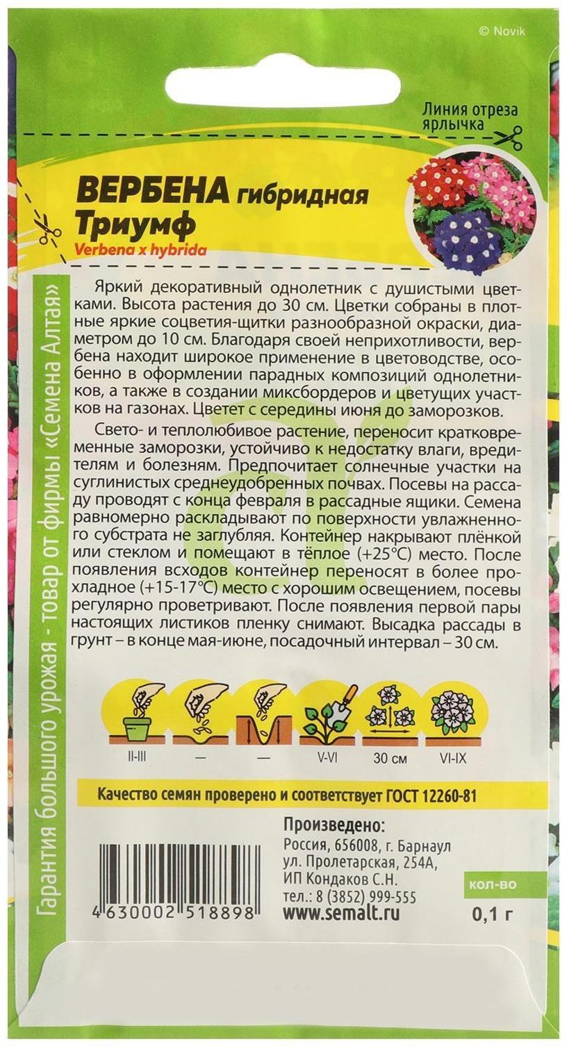 Семена цветов Вербена 