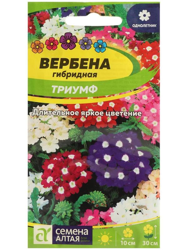 Семена цветов Вербена 