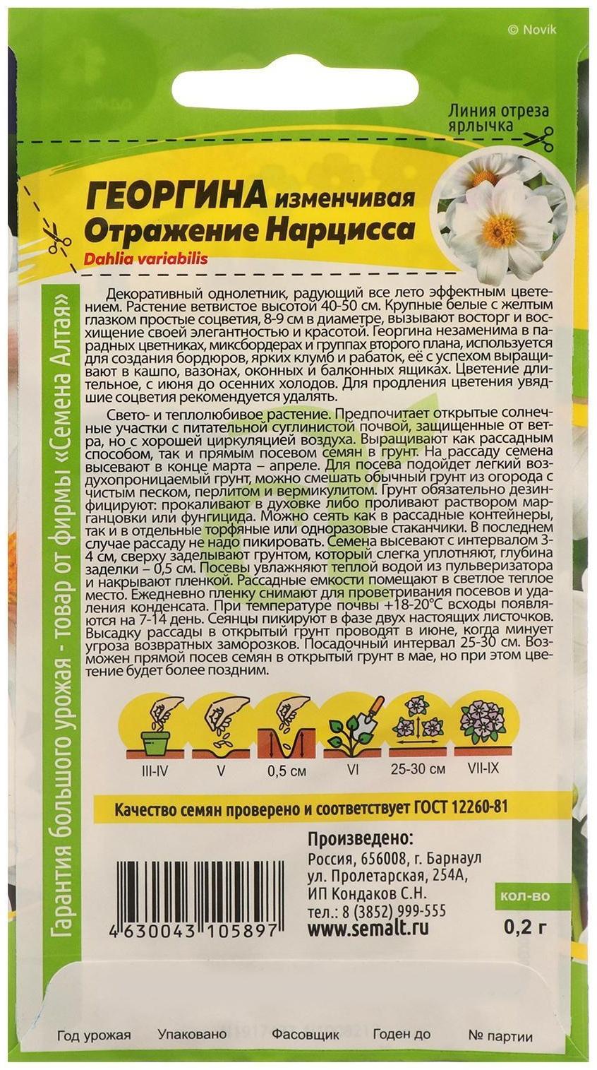 Семена цветов Георгина 