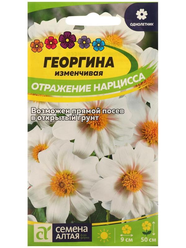 Семена цветов Георгина 