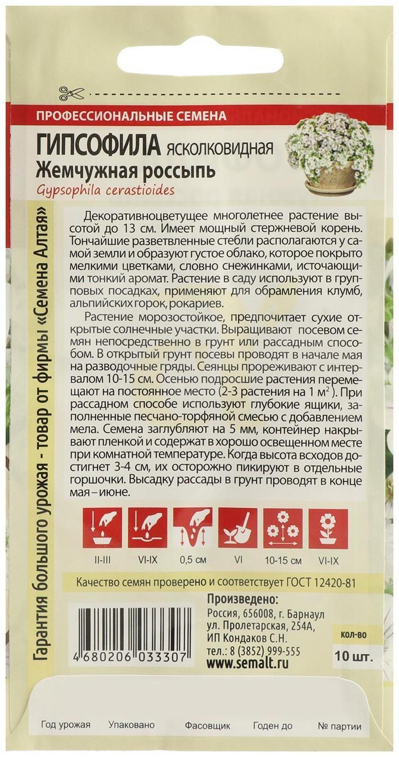 Семена цветов Гипсофила 