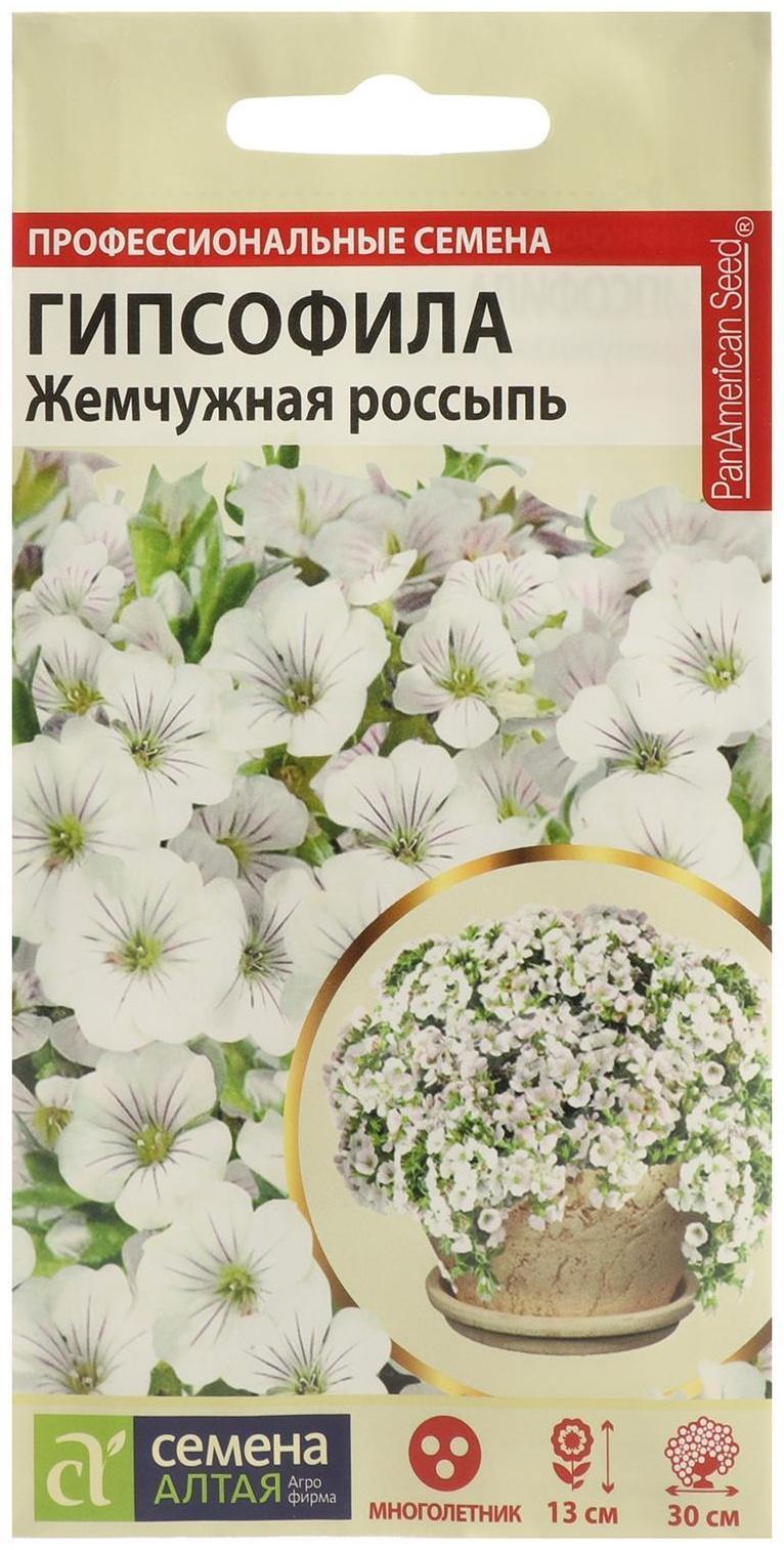 Семена цветов Гипсофила 