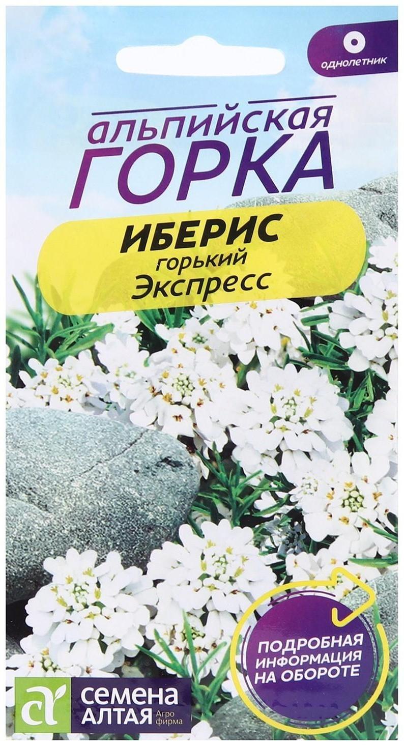 Семена цветов Иберис гиацинтовый 