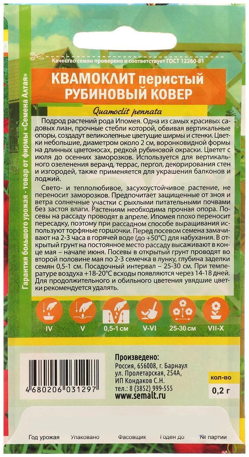 Семена цветов Квамоклит 