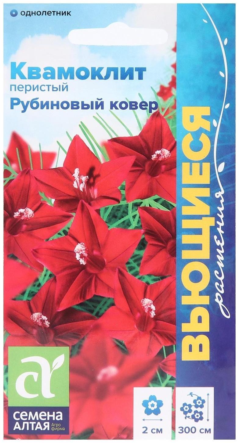 Семена цветов Квамоклит 