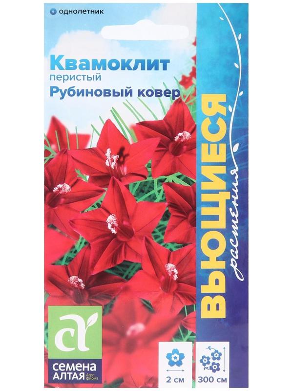 Семена цветов Квамоклит 