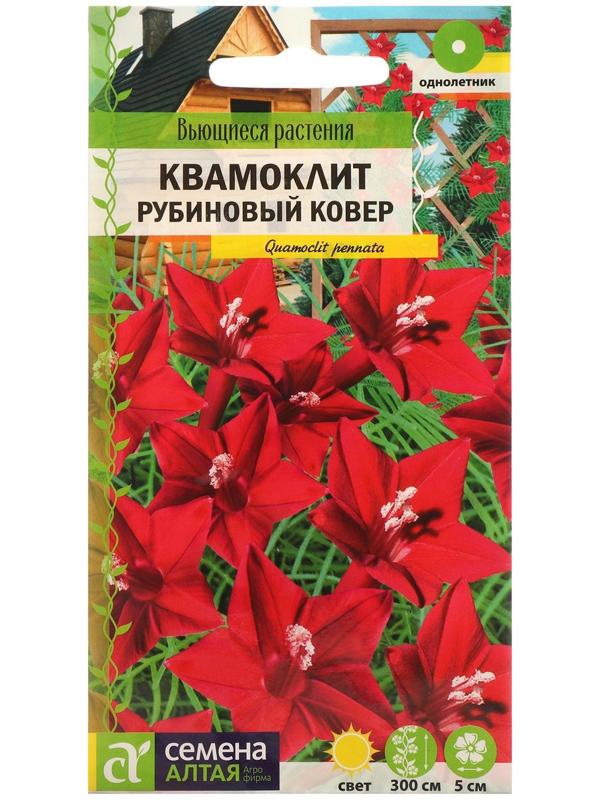 Семена цветов Квамоклит 