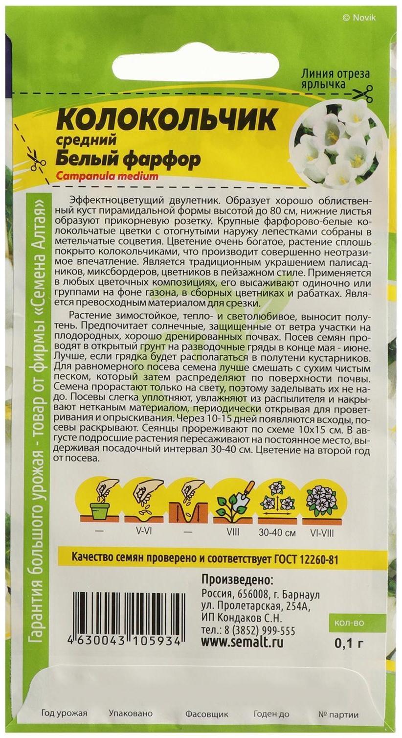 Семена цветов Колокольчик 