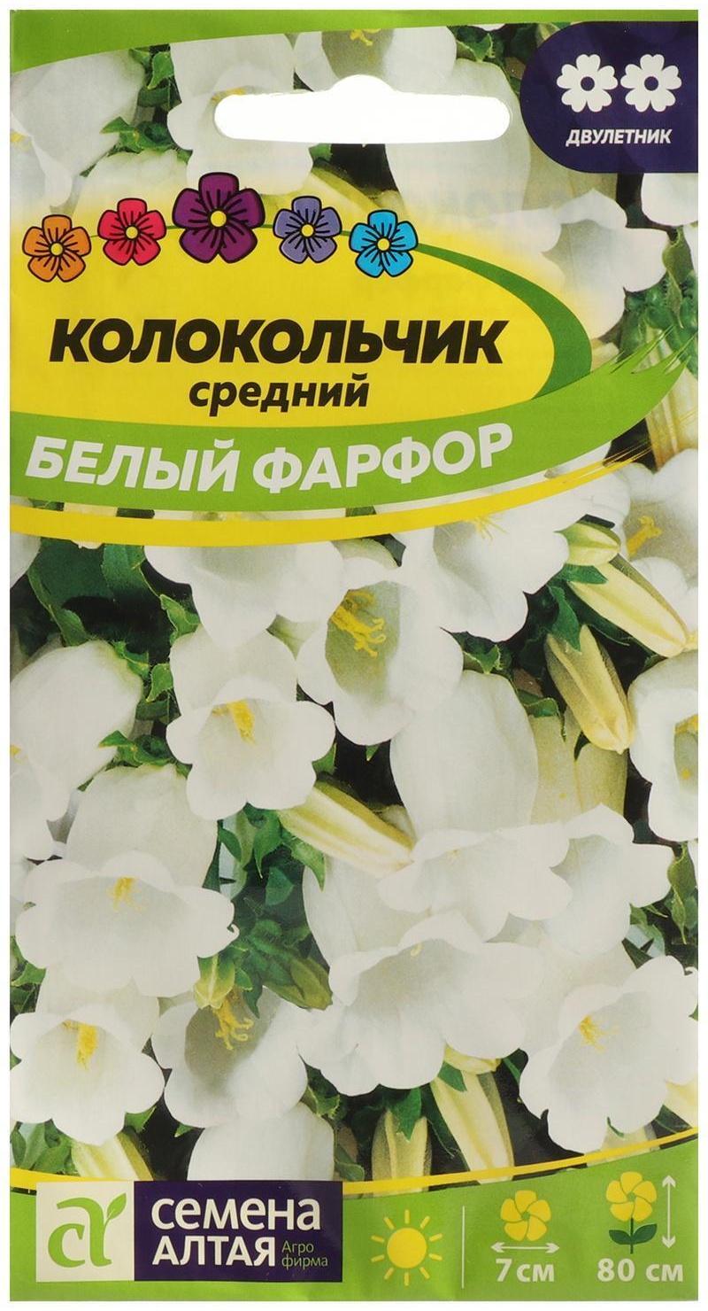 Семена цветов Колокольчик 