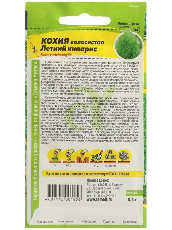 Семена цветов Кохия 