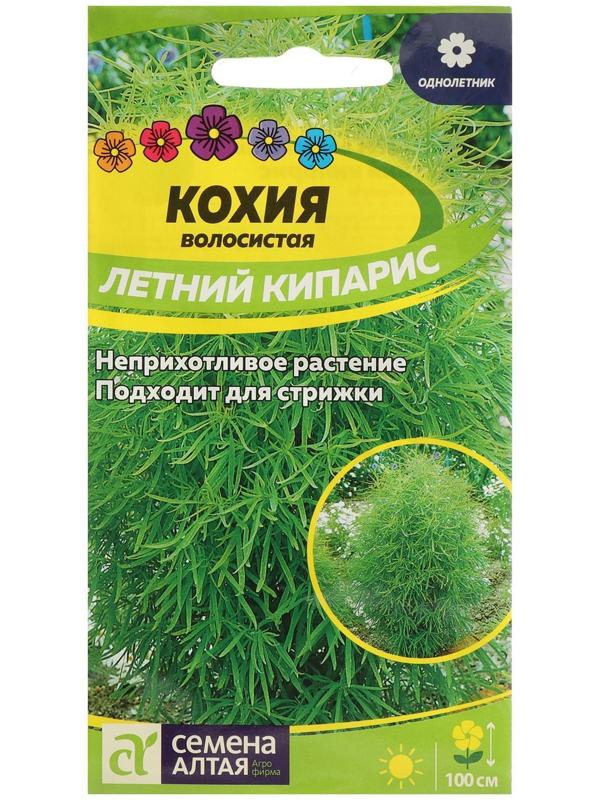 Семена цветов Кохия 