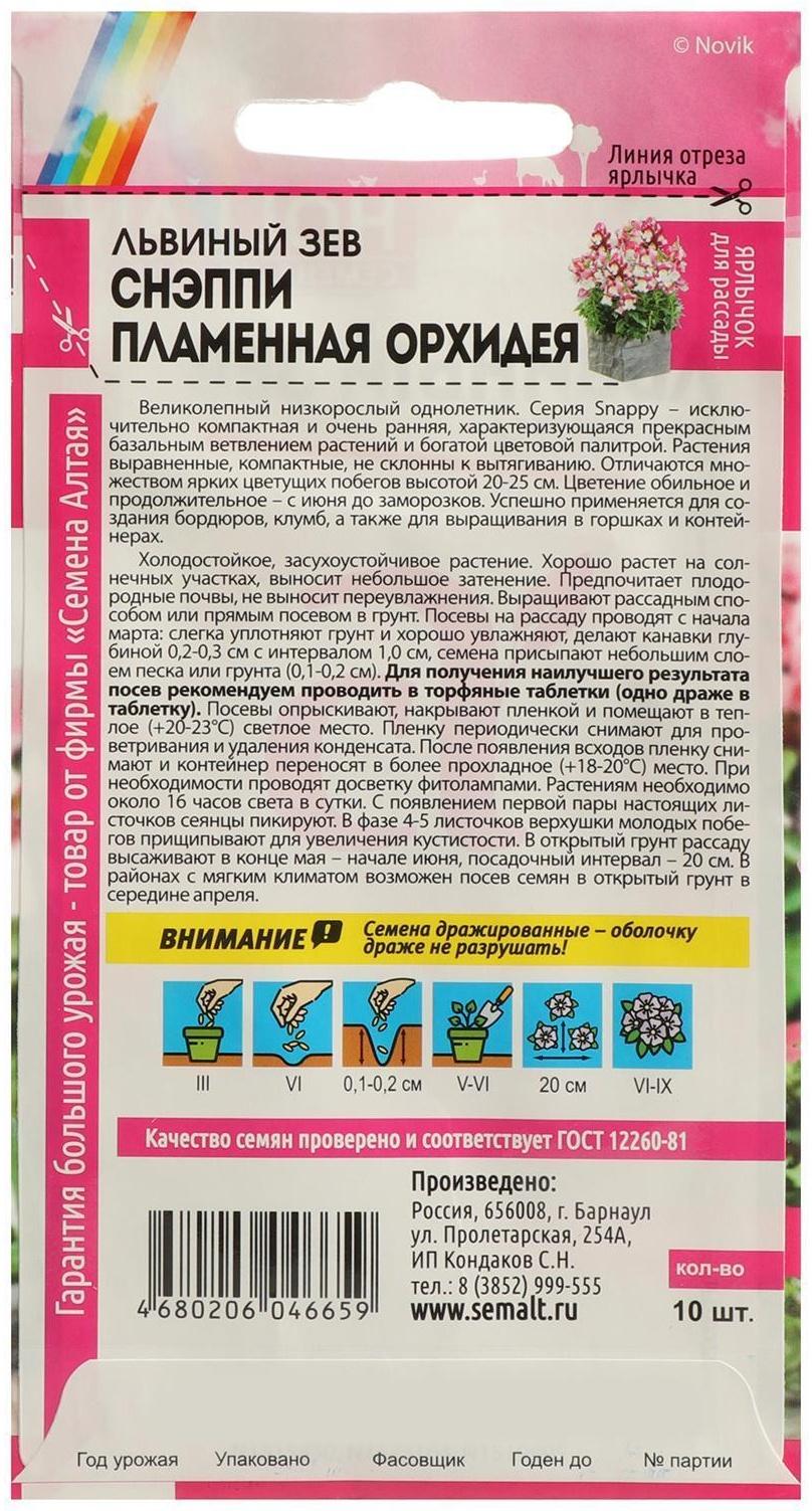 Семена цветов Львиный зев Снэппи 