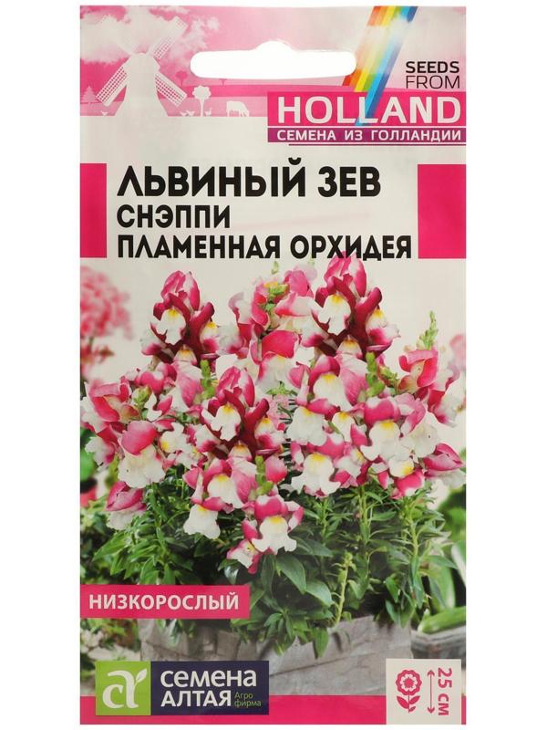 Семена цветов Львиный зев Снэппи 