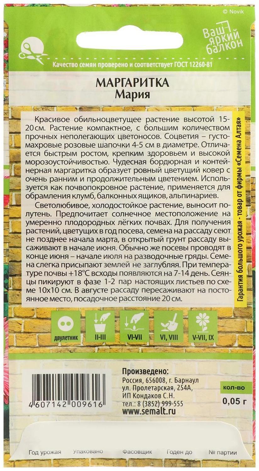 Семена цветов Маргаритка 