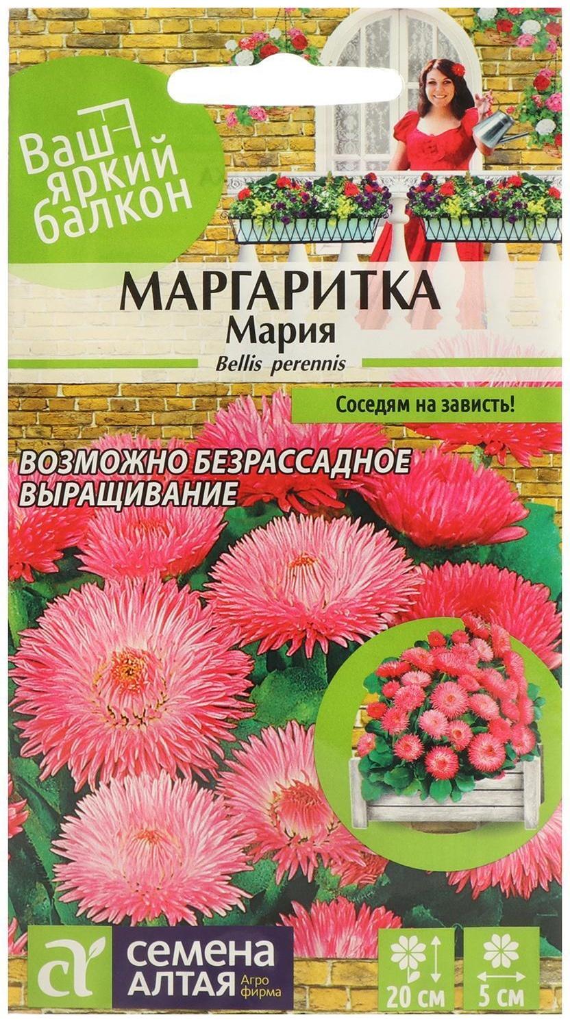 Семена цветов Маргаритка 