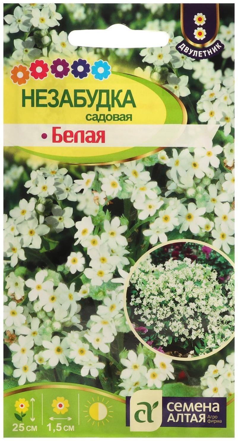 Семена цветов Незабудка 