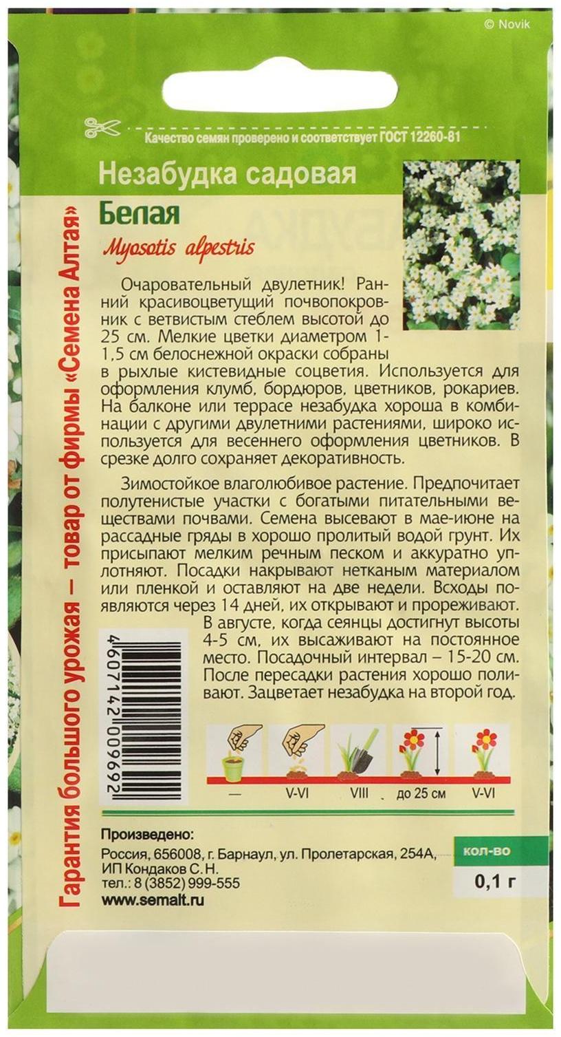 Семена цветов Незабудка 