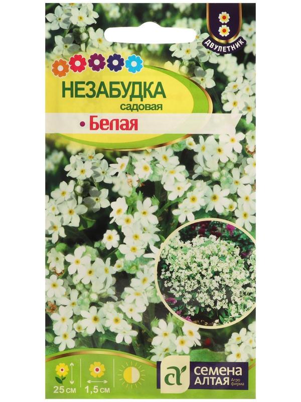 Семена цветов Незабудка 