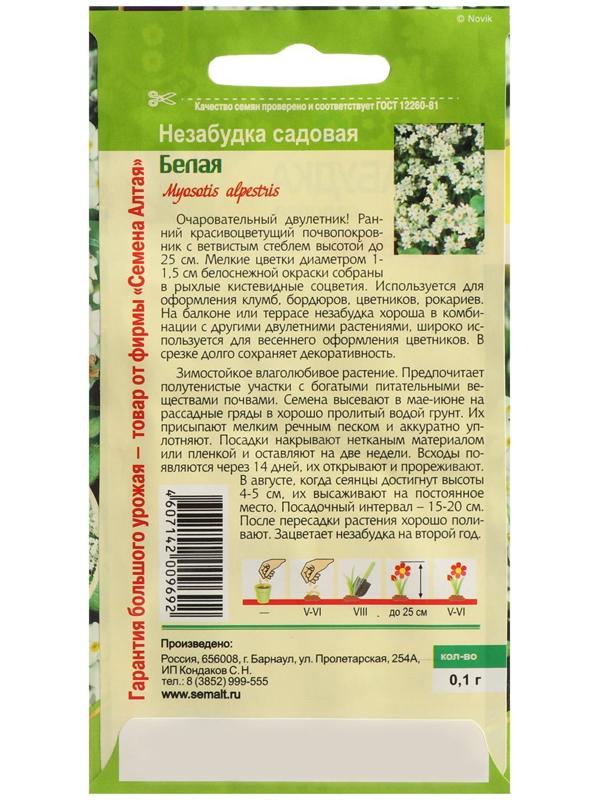 Семена цветов Незабудка 