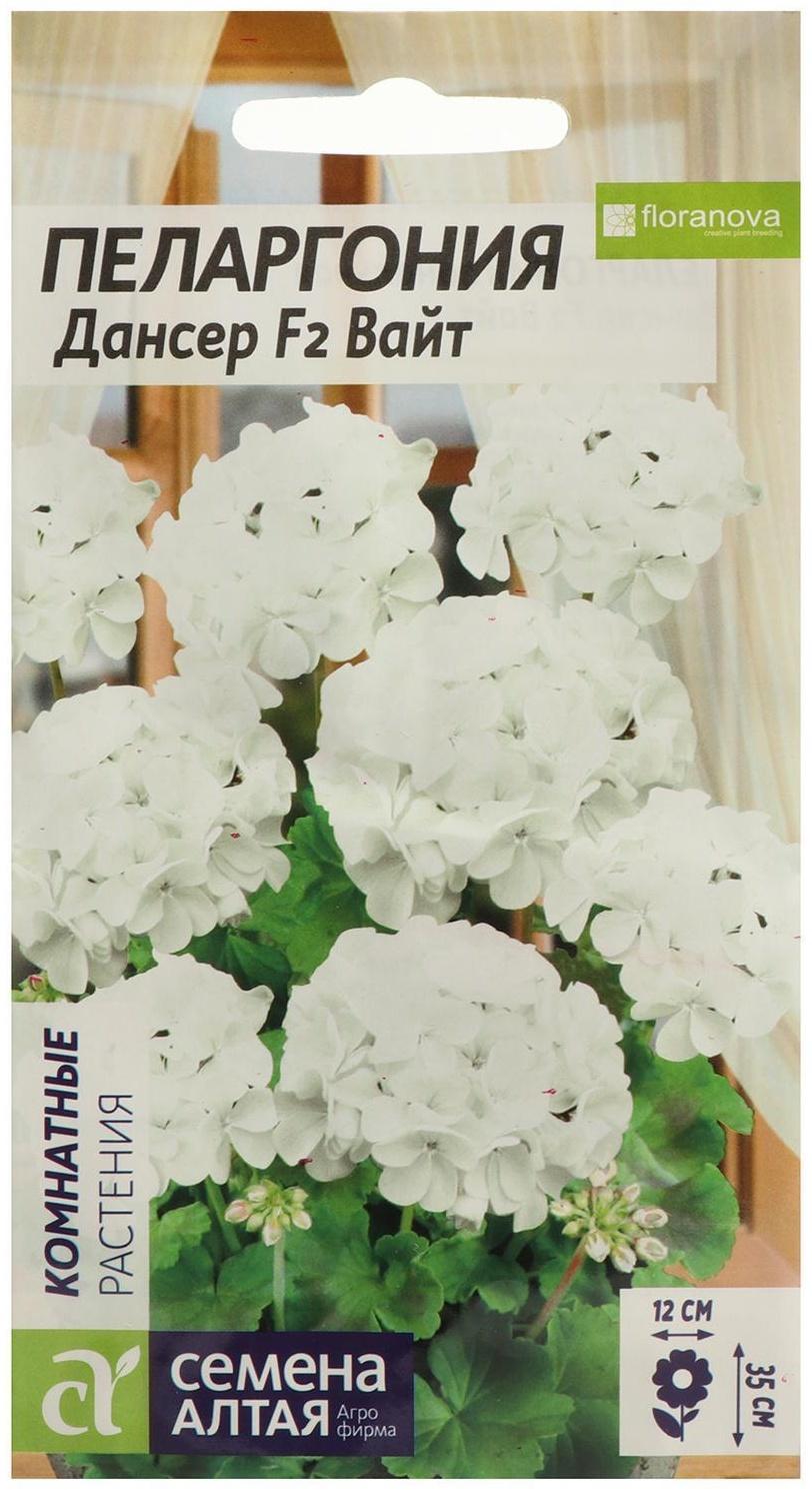 Семена цветов Пеларгония 