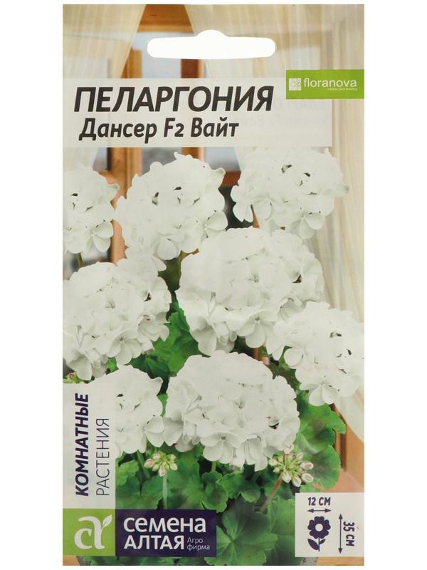 Семена цветов Пеларгония 