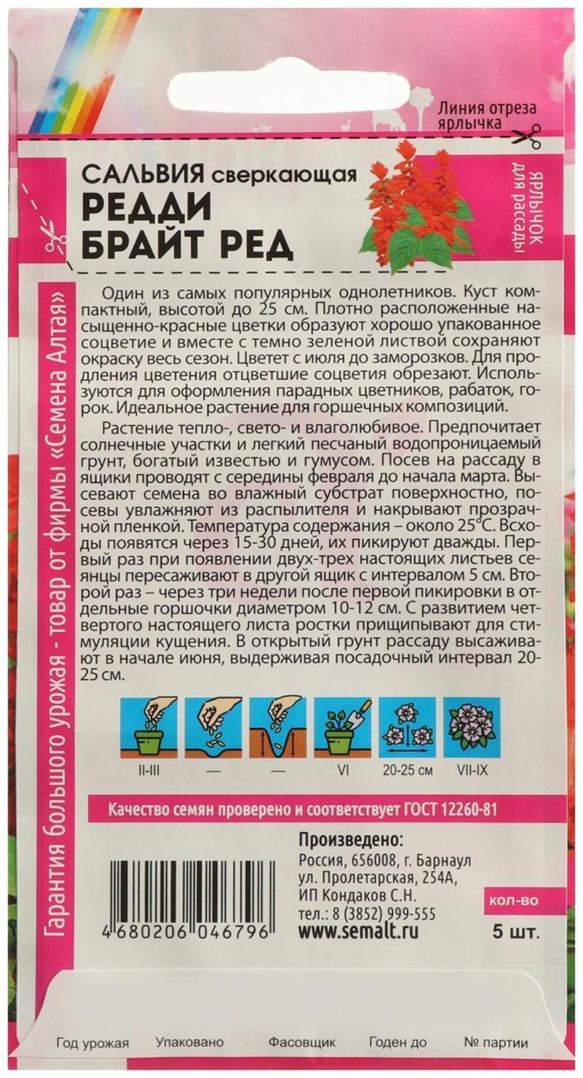 Семена цветов Сальвия 