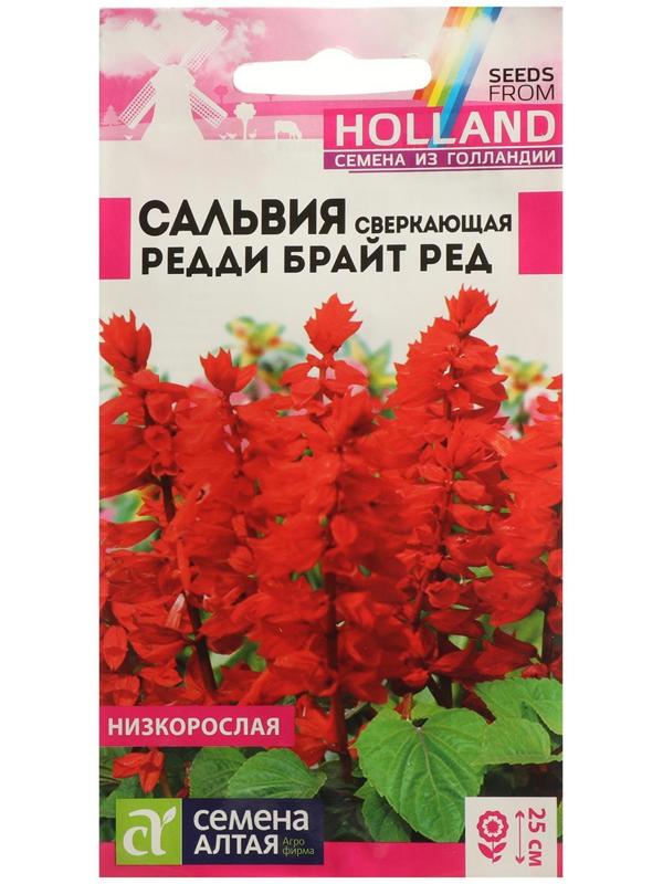 Семена цветов Сальвия 