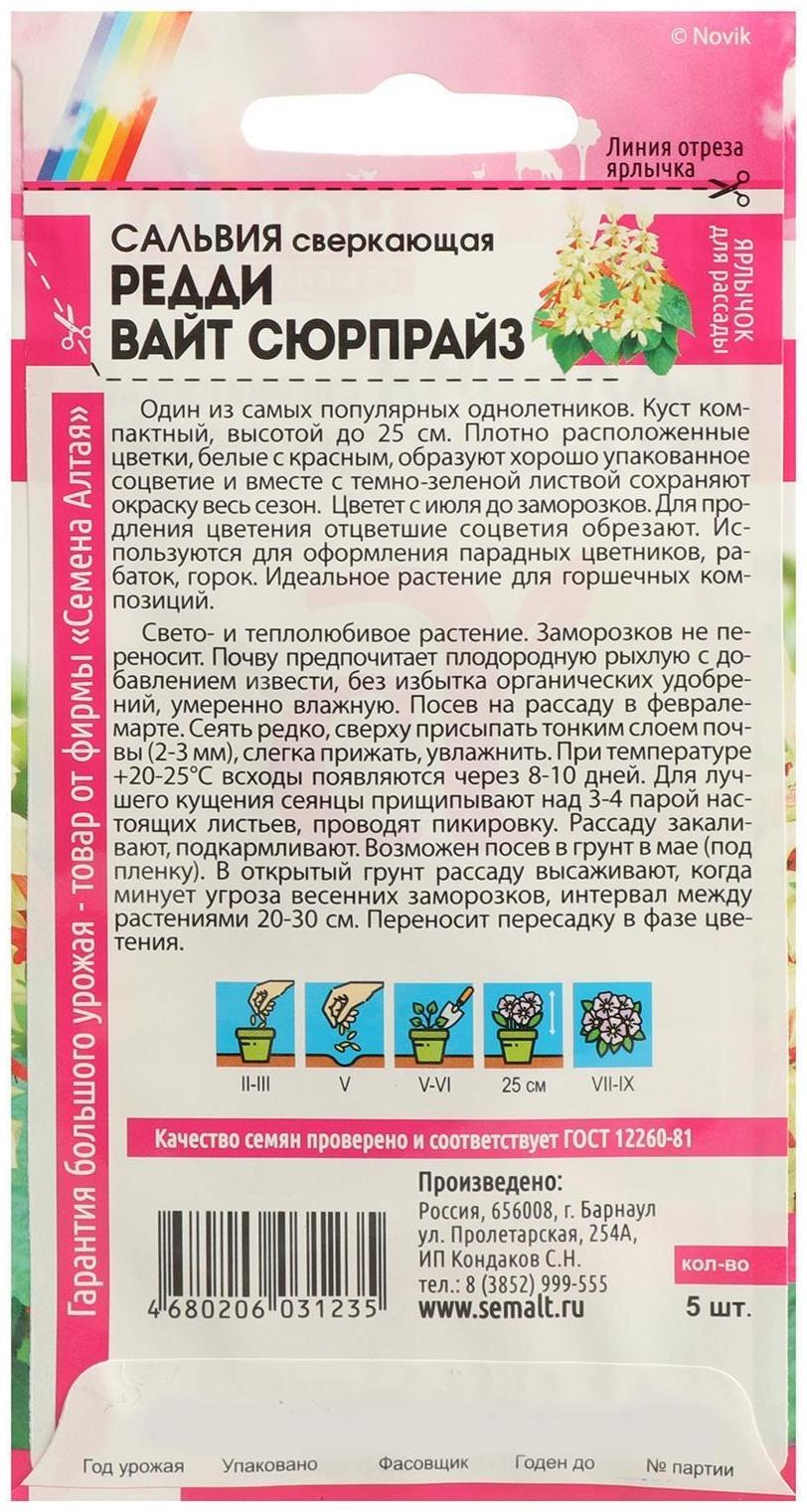 Семена цветов Сальвия 