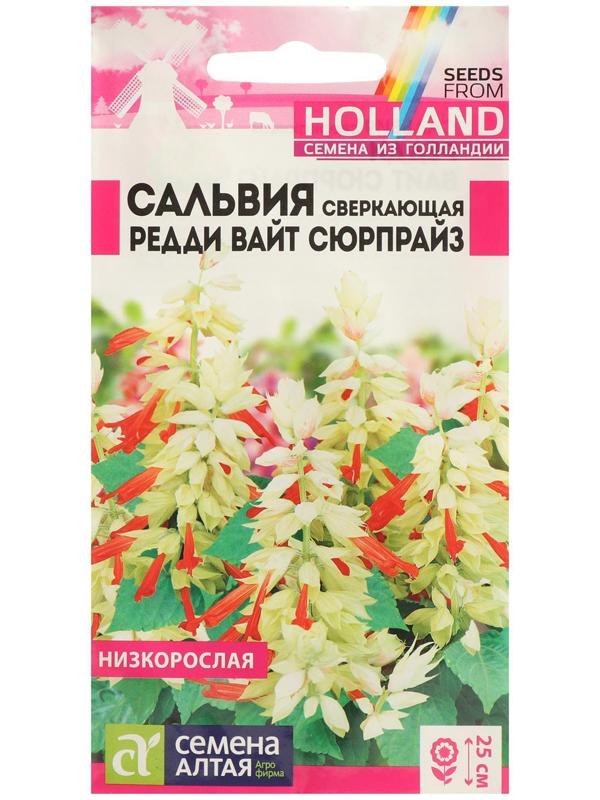 Семена цветов Сальвия 