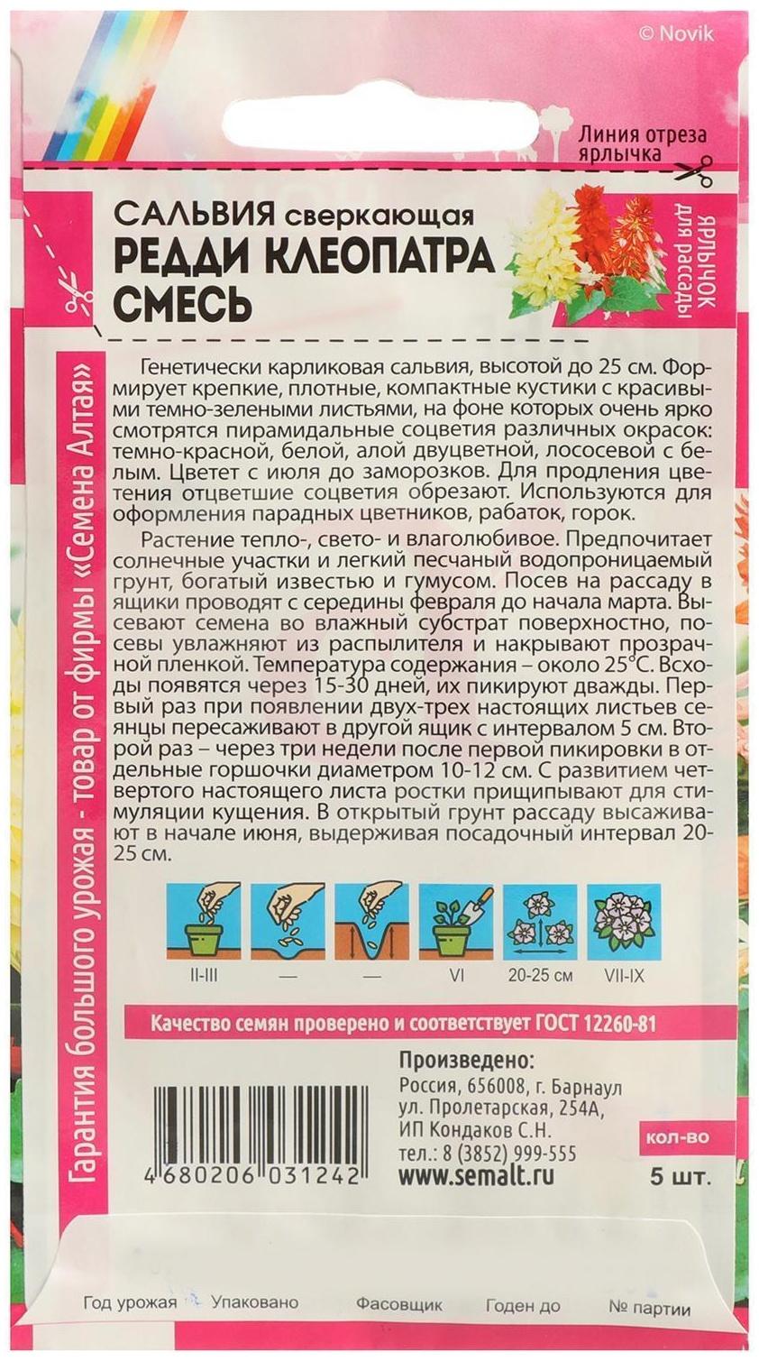 Семена цветов Сальвия 