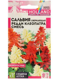 Семена цветов Сальвия 