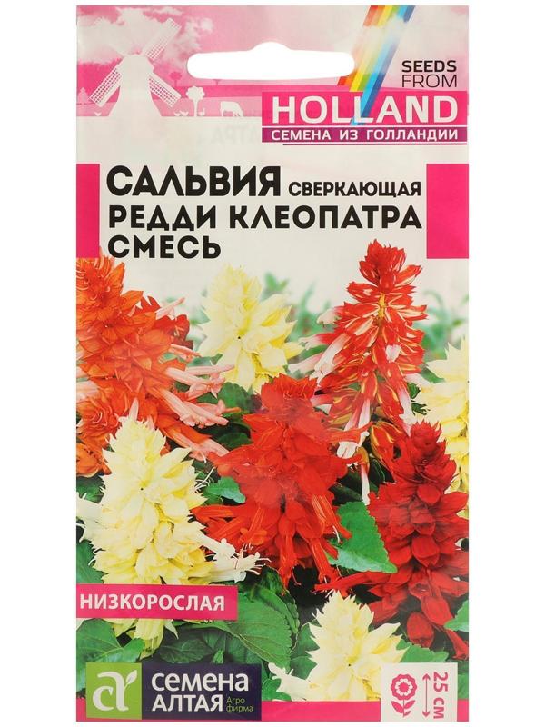 Семена цветов Сальвия 