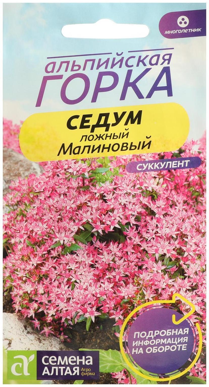 Семена цветов Седум 