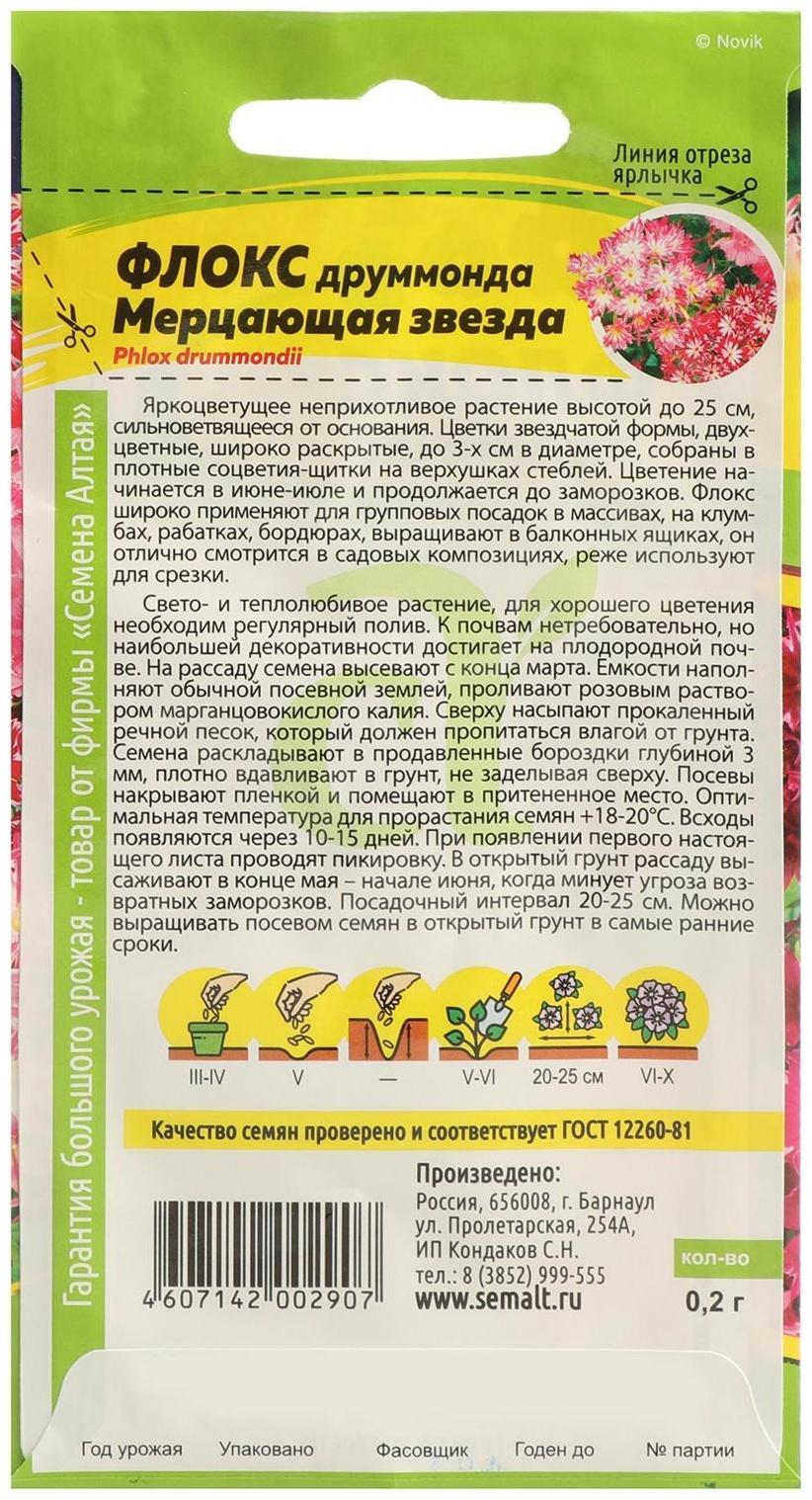 Семена цветов Флокс 