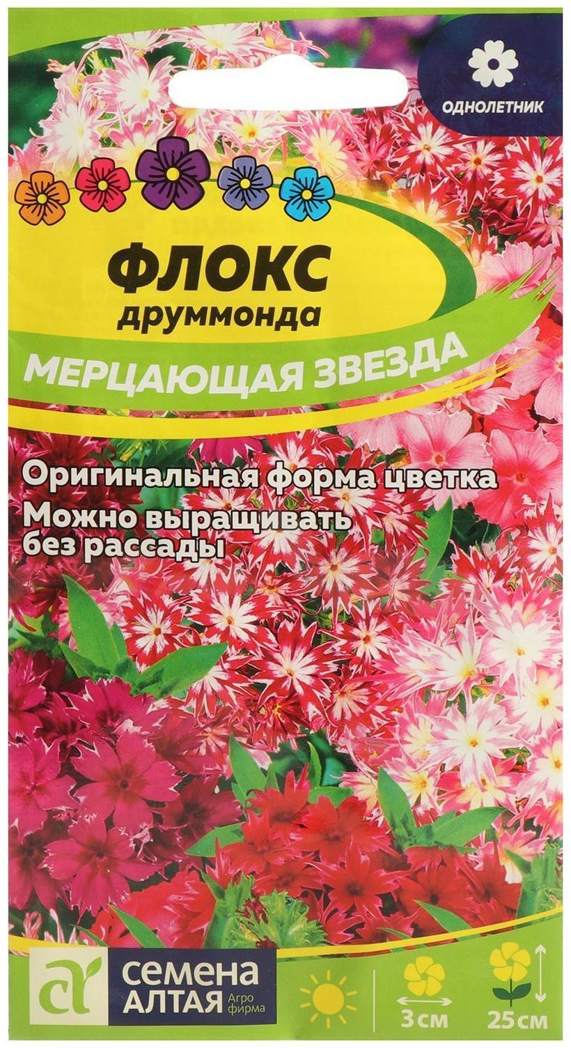 Семена цветов Флокс 