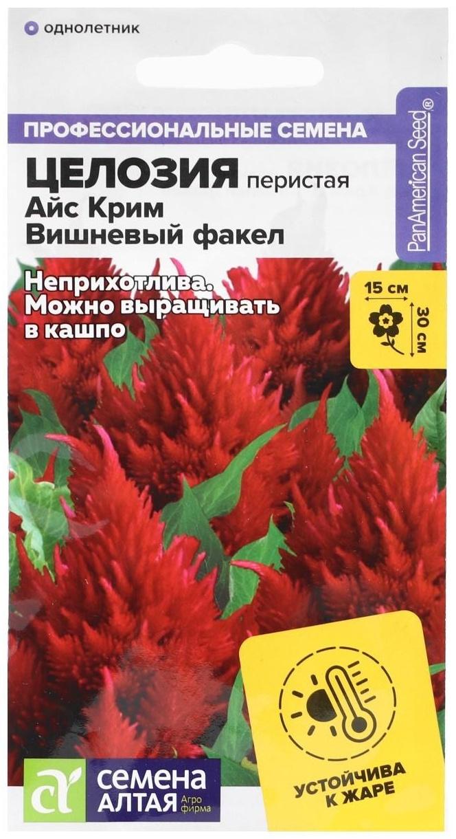 Семена цветов Целозия Айс Крим 