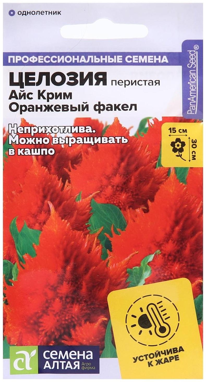 Семена цветов Целозия Айс Крим 