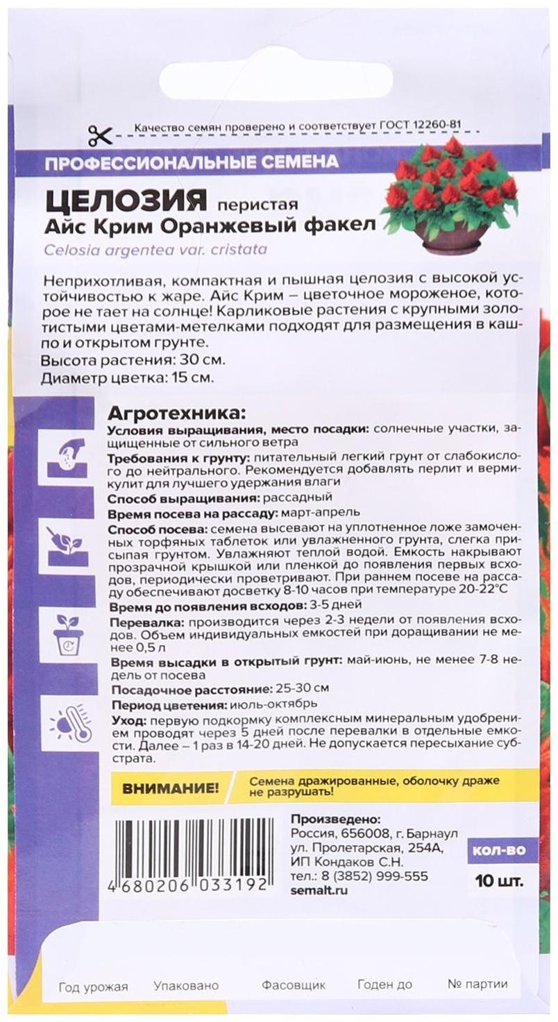 Семена цветов Целозия Айс Крим 