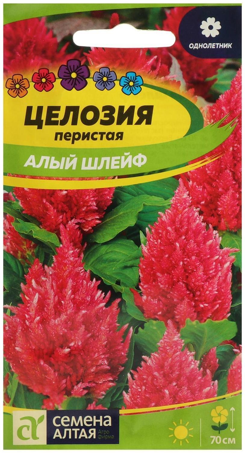Семена цветов Целозия 