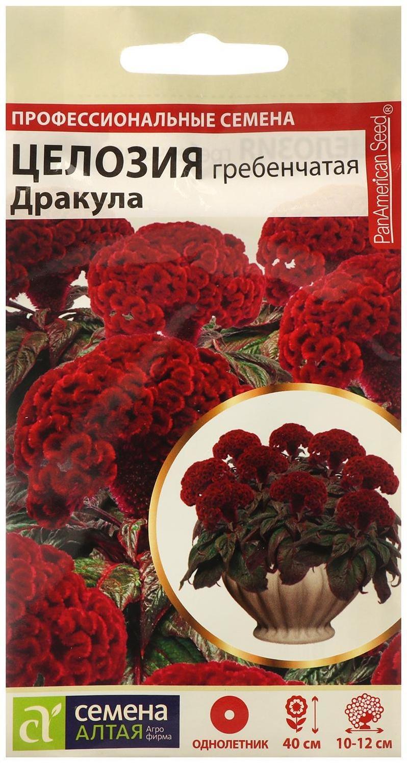 Семена цветов Целозия 