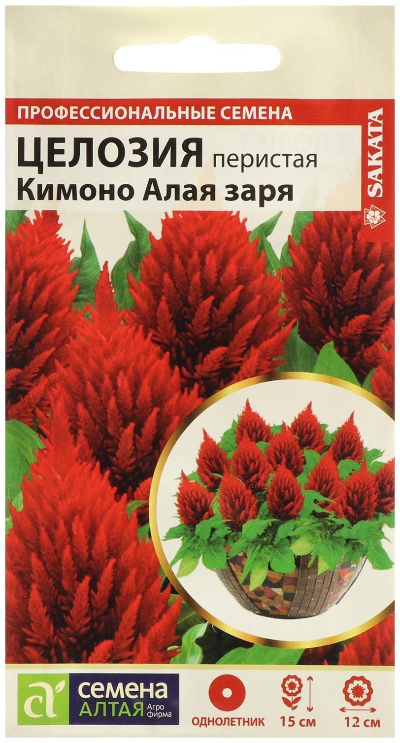 Семена цветов Целозия Кимоно 