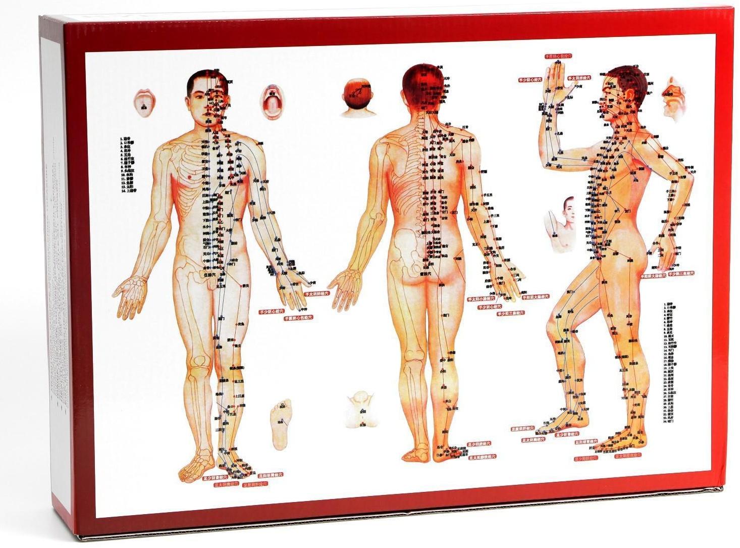 Банки акупункционного действия для вакуумного массажа, набор 32 шт.
