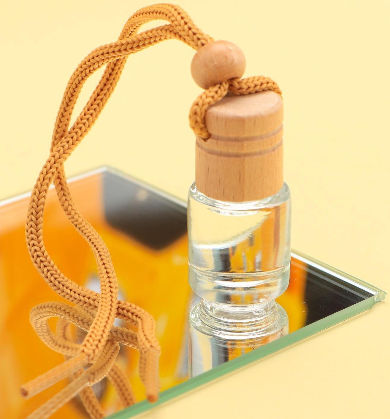 Ароматизатор подвесной «Сочного настроения», аромат: цитрус, 5 мл