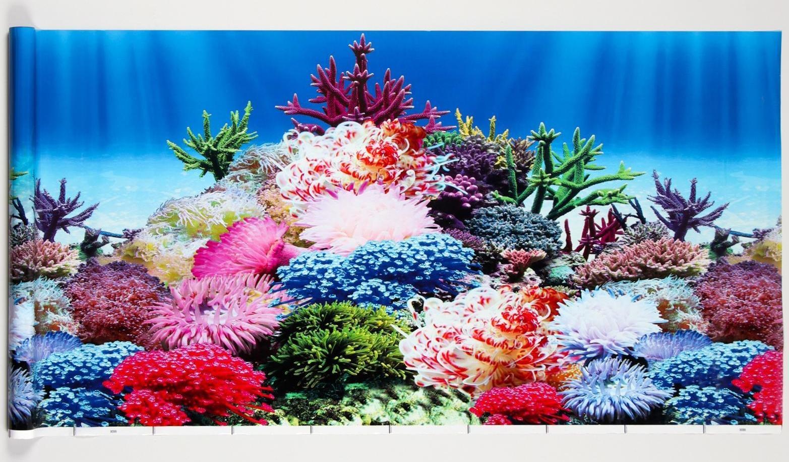 Фон для аквариума, 50 см, рулон 25 м