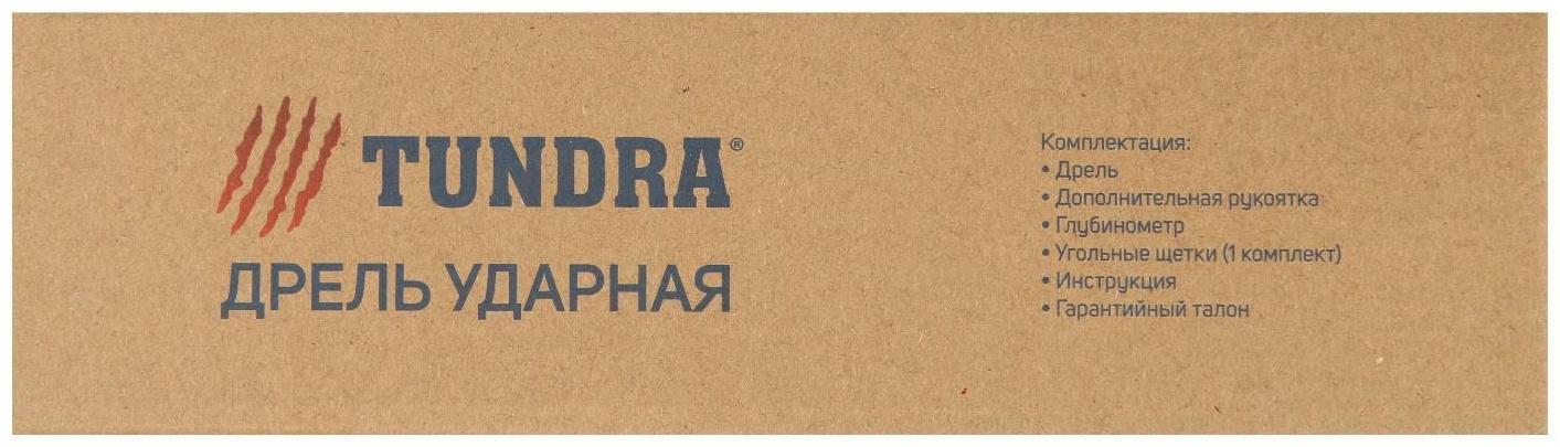 Дрель ударная ТУНДРА, патрон ЗВ до 13 мм, 700 Вт, 3000 об/мин, 48000 ударов/мин