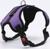Шлейка мягкая со светоотражающаяи, XL, расширенная (ОШ 54-69, ОГ 64-86 см), фиолетовая