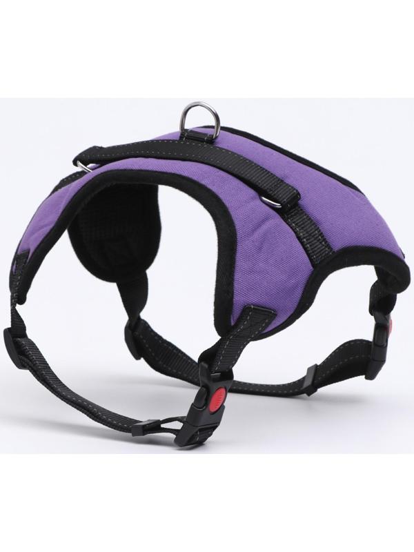 Шлейка мягкая со светоотражающаяи, XL, расширенная (ОШ 54-69, ОГ 64-86 см), фиолетовая