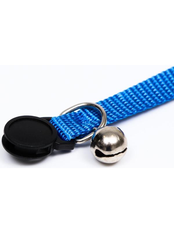 Ошейник кошачий 